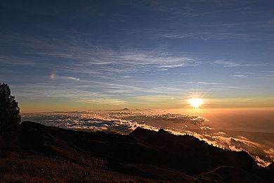 Xbox多平台游戏或在任天堂合作直面会上公布